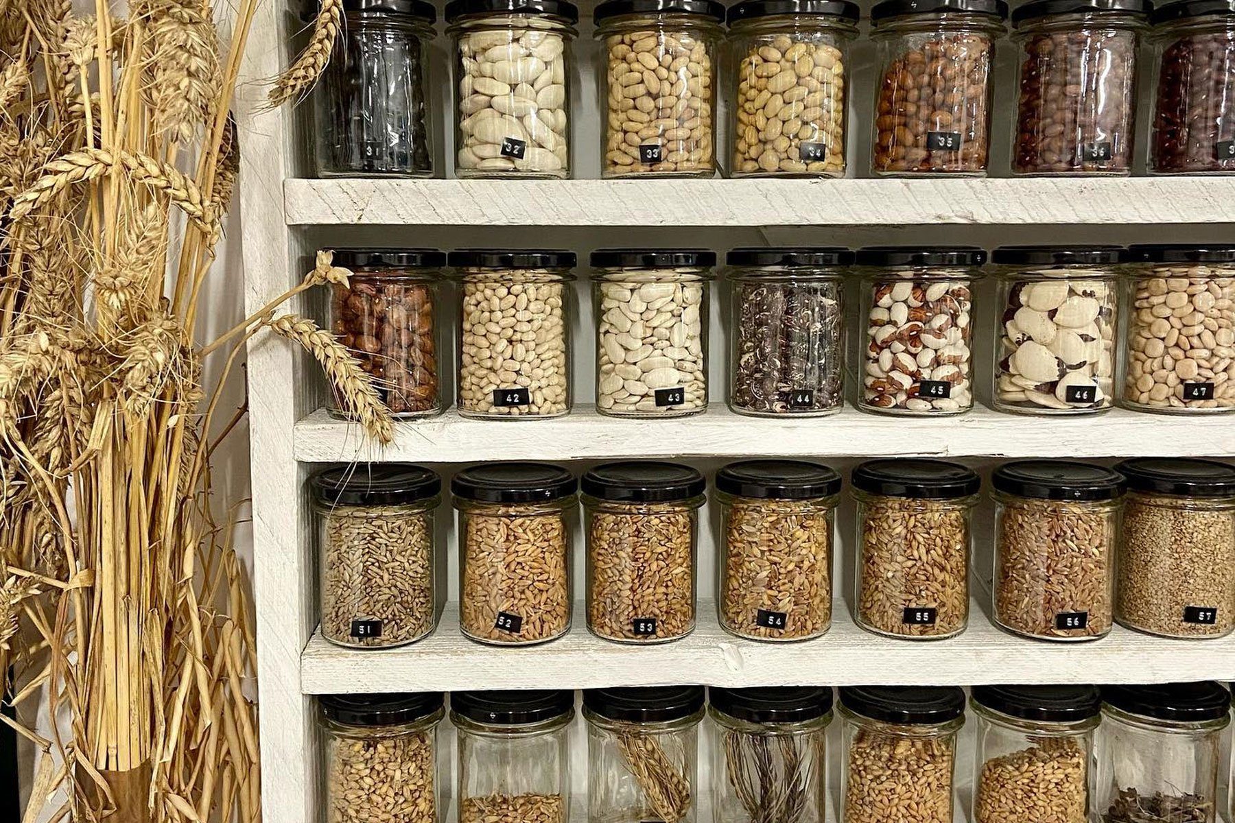 A Food Revolution Starts With Seed