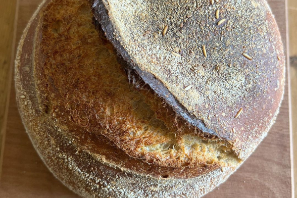 Sourdough September Boule - Hodmedod's Wholefoods
