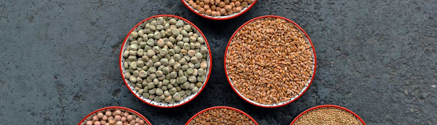 Summer Pulses and Grains