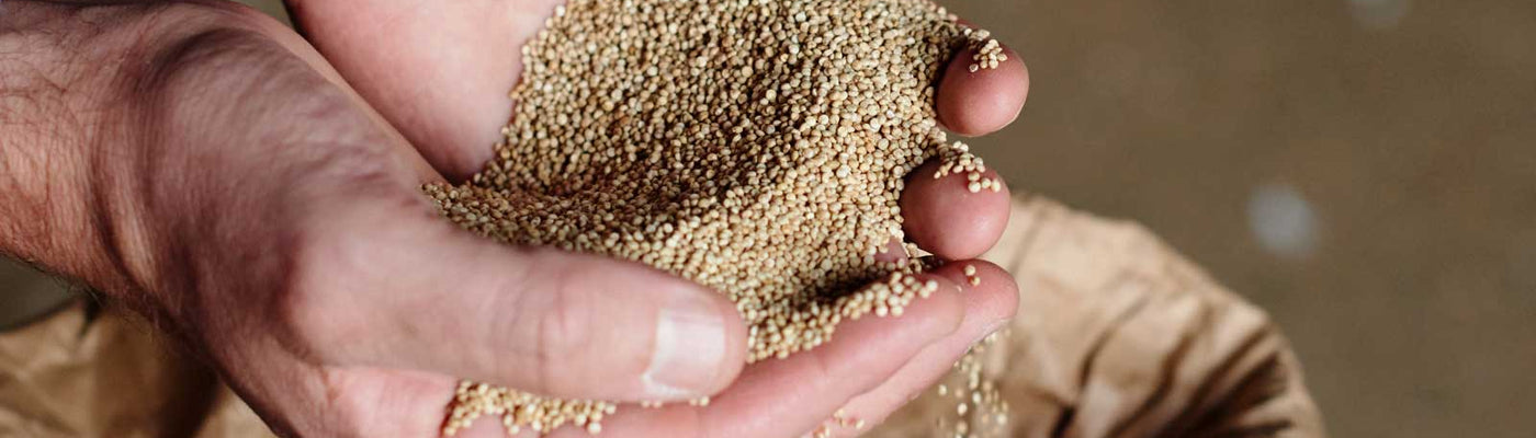 British Quinoa