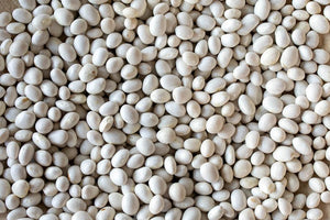 Caballero Beans from North America