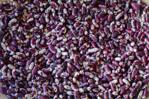 Jacob's Cattle Beans from North America