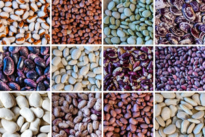 Pot Luck Beans of America Selection