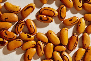Tiger's Eye Beans from North America, Organic