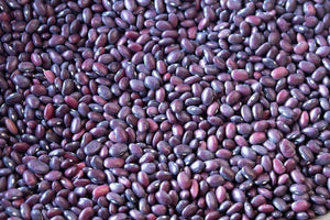 Domingo Rojo Beans from North America