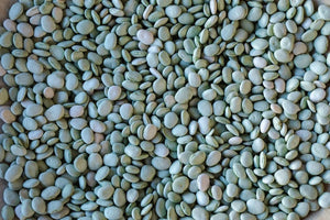 Green Baby Lima Beans from North America