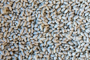 Marcella Beans from North America