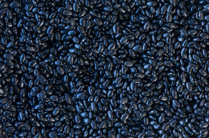 Santanero Negro Delgado Beans from North America