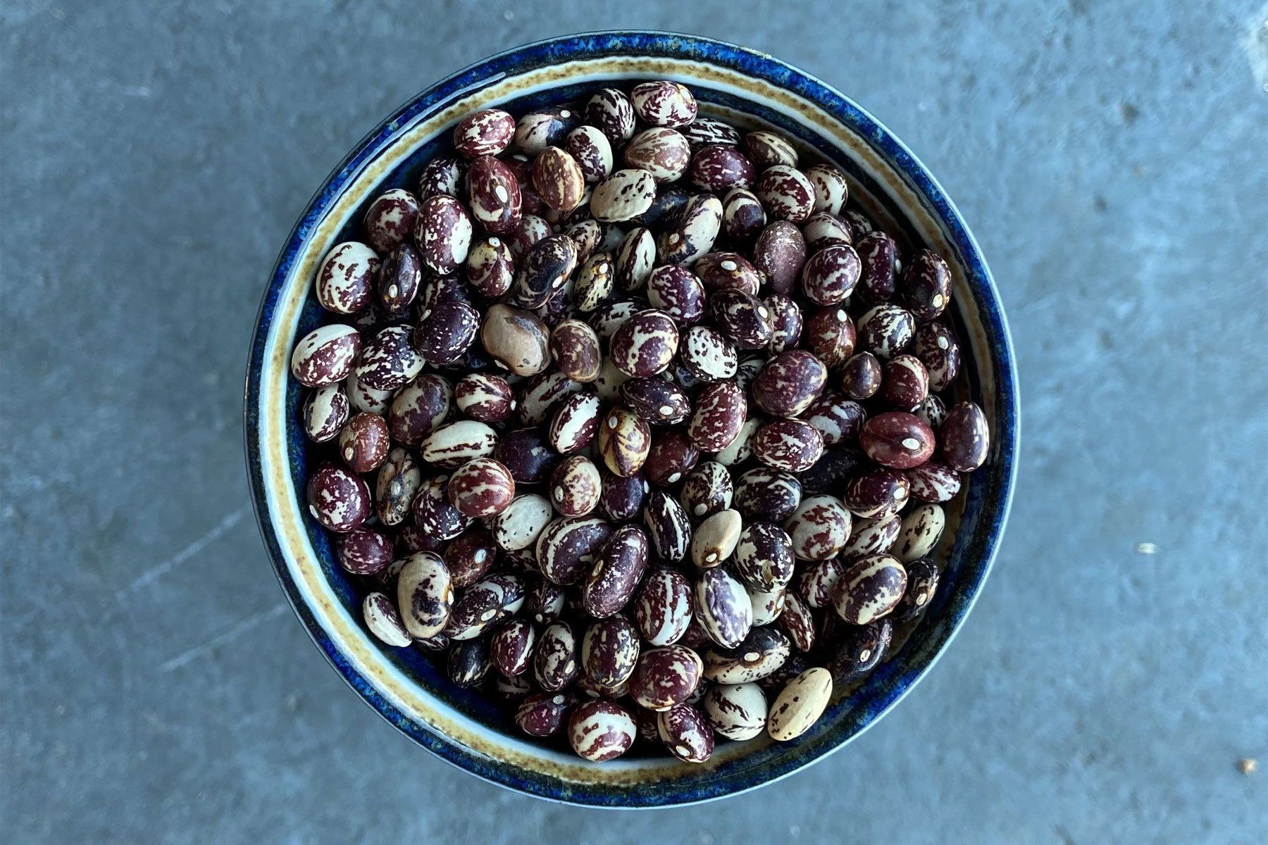 Good Mother Stallard Beans - Hodmedod's British Pulses & Grains