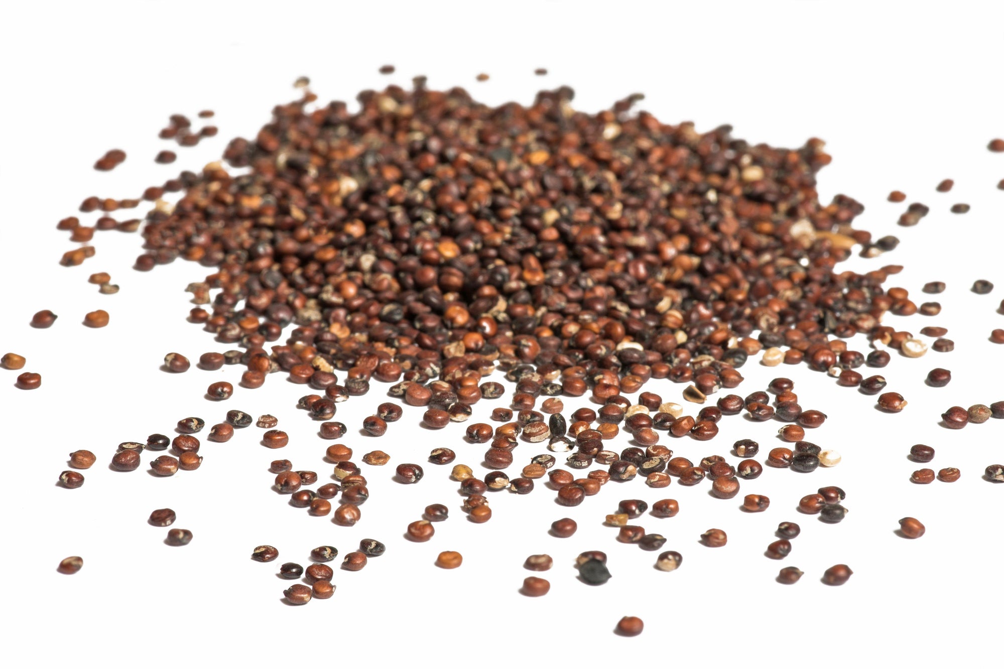 British Red Quinoa - Hodmedod's British Pulses & Grains
