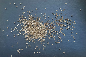 Hemp Seed, Whole - Hodmedod's British Pulses & Grains