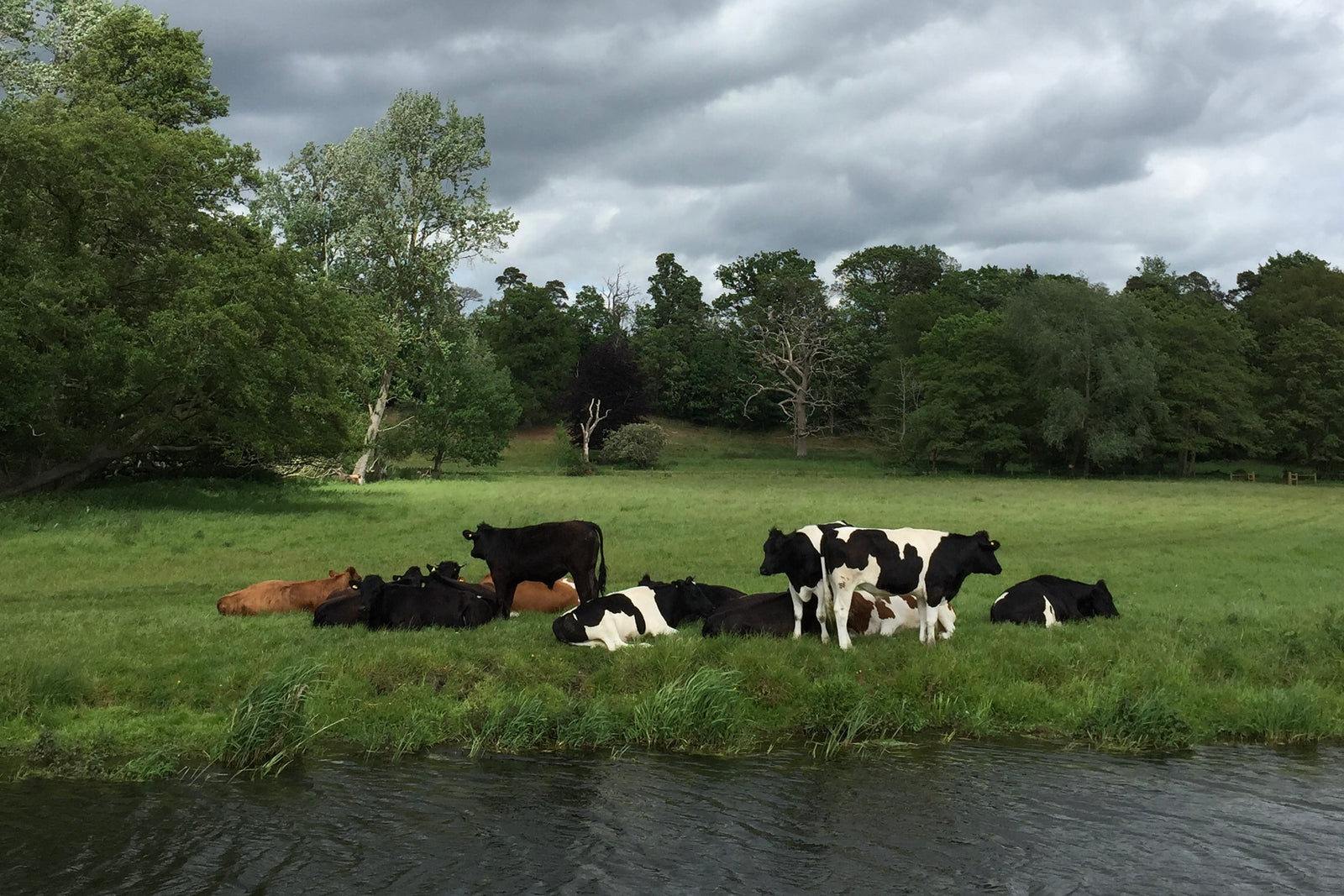 Imagining the Waveney Valley