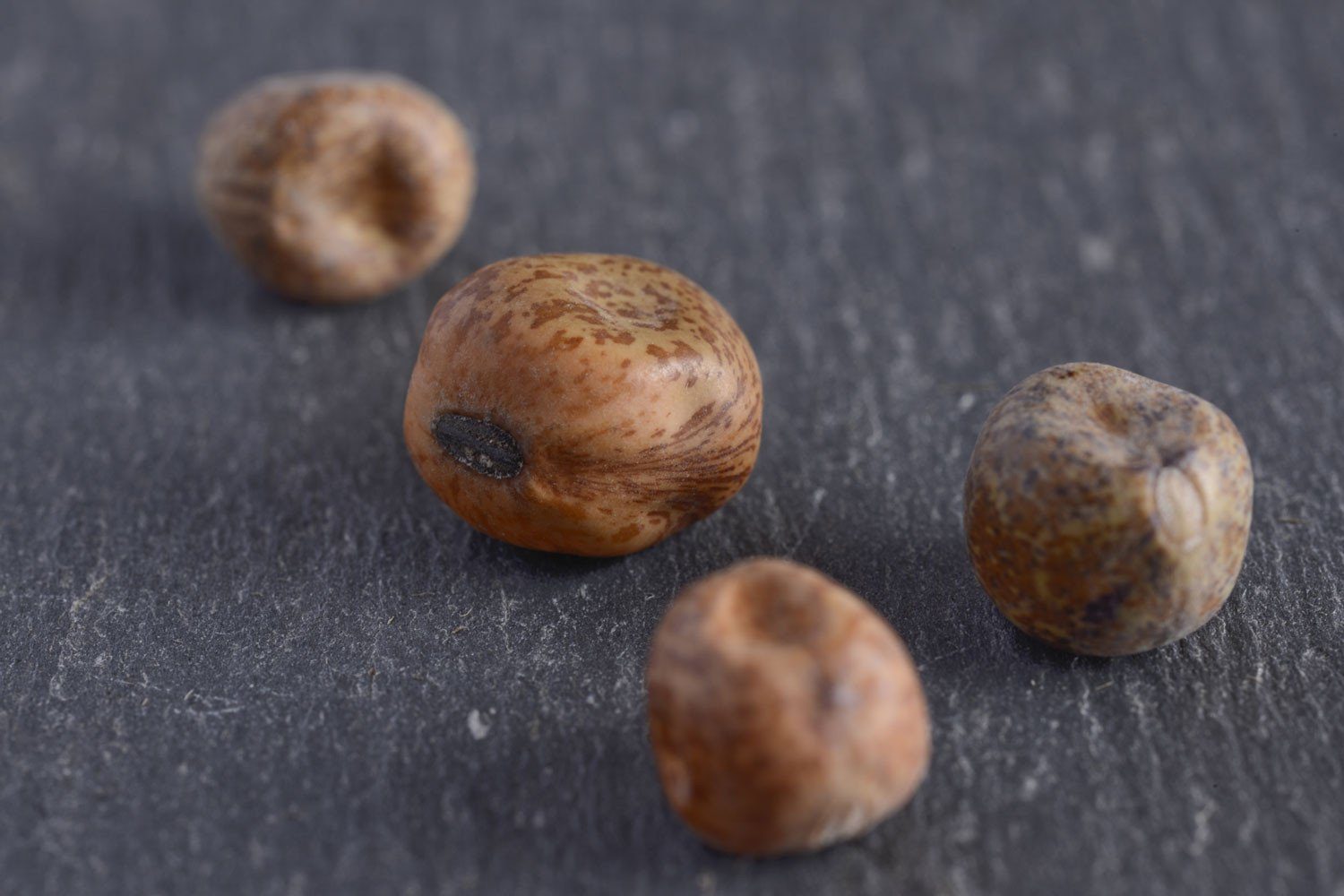 Lenten Peas: Black Badgers, Parched Peas & Carlin Sunday