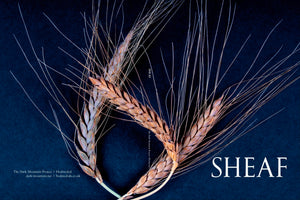 Sheaf