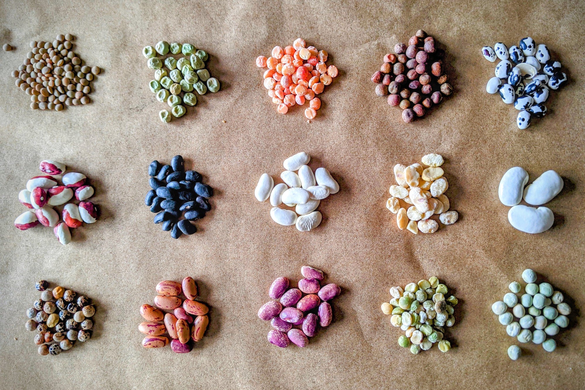 What are pulses? Are they legumes? Are they beans? - Pulses 101, part 1