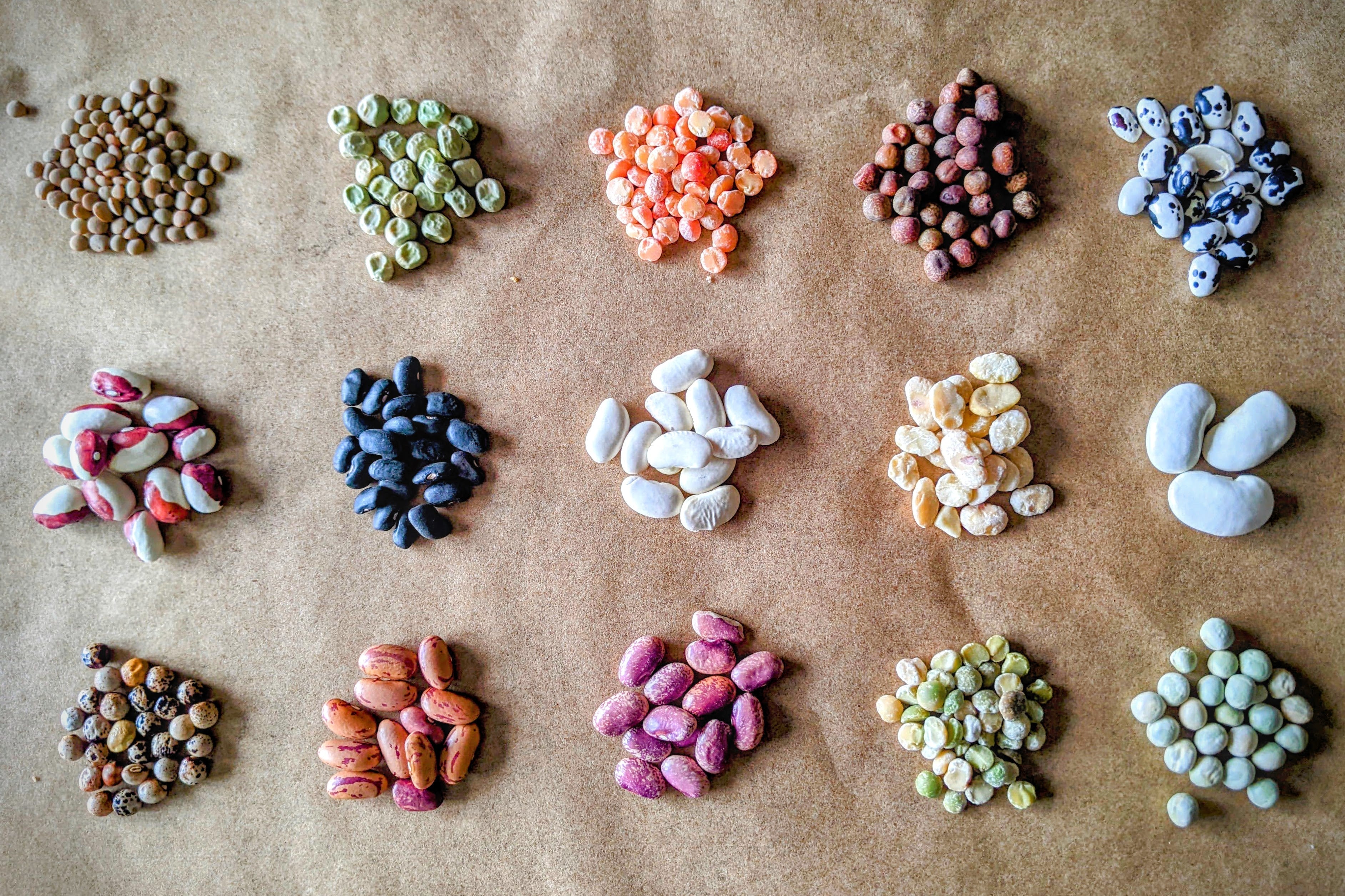 What Are Beans And Pulses