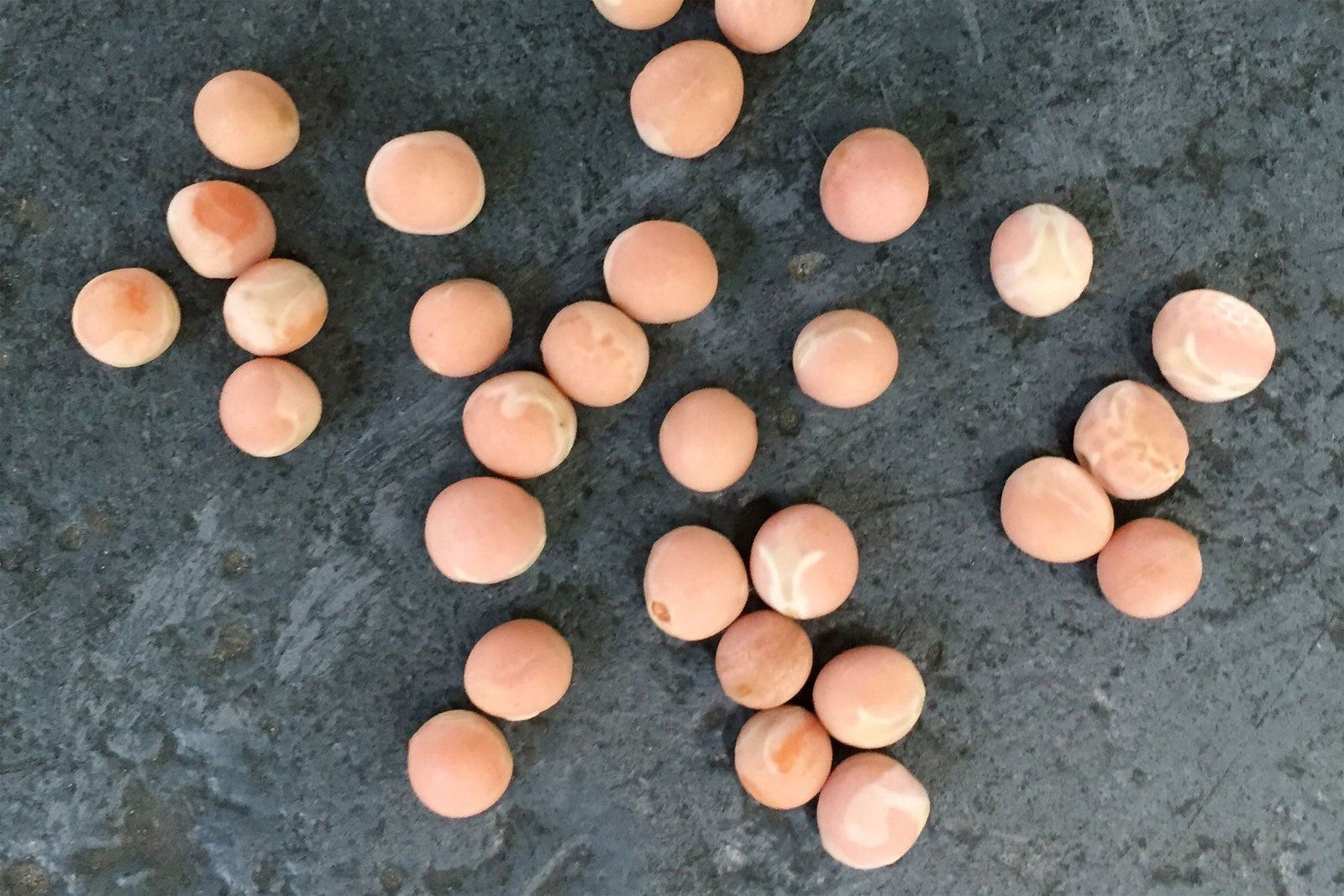 In the pink: Our newly named Flamingo Peas