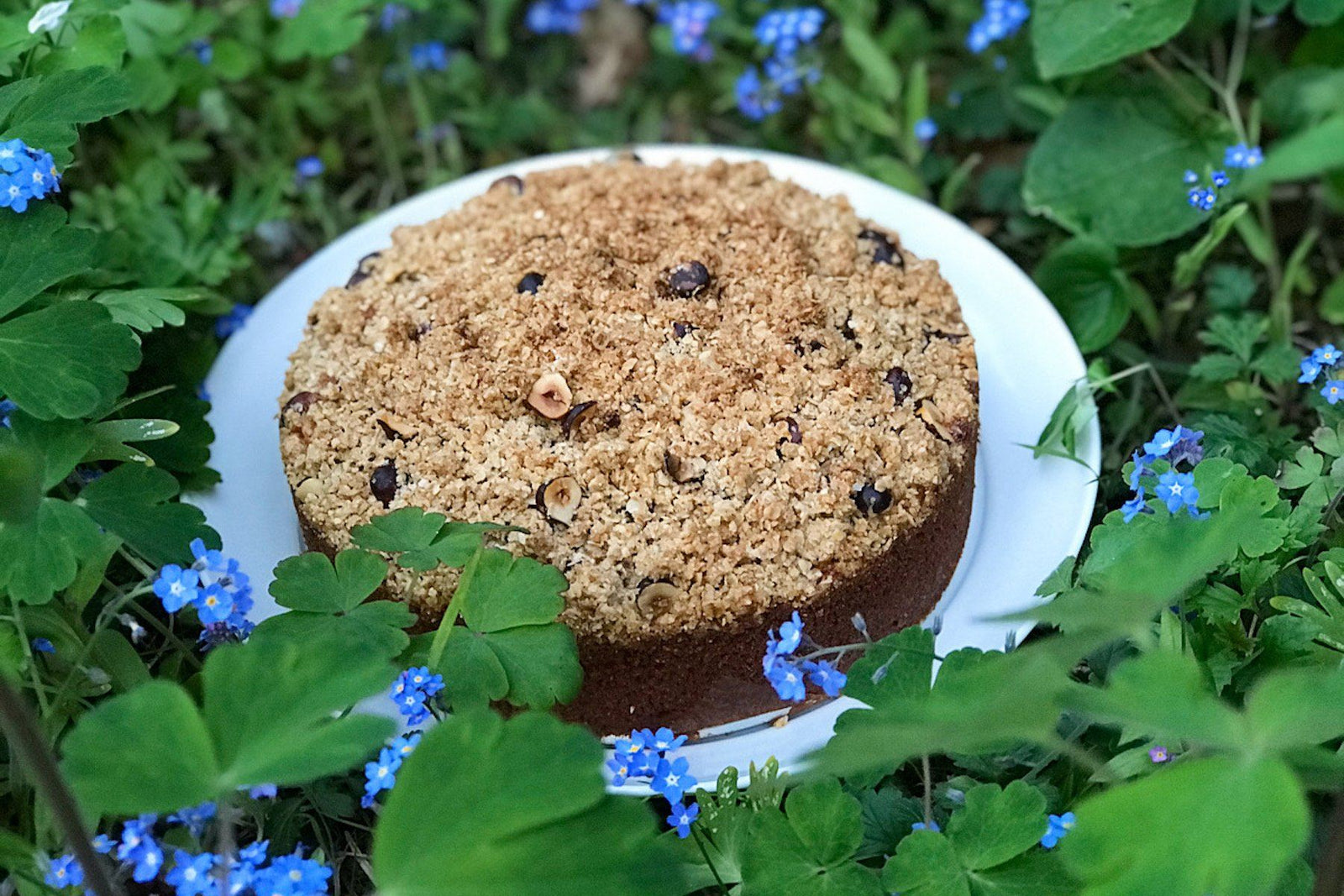YQ Wheat flour, rhubarb & yoghurt cake with oat & hazelnut crumble