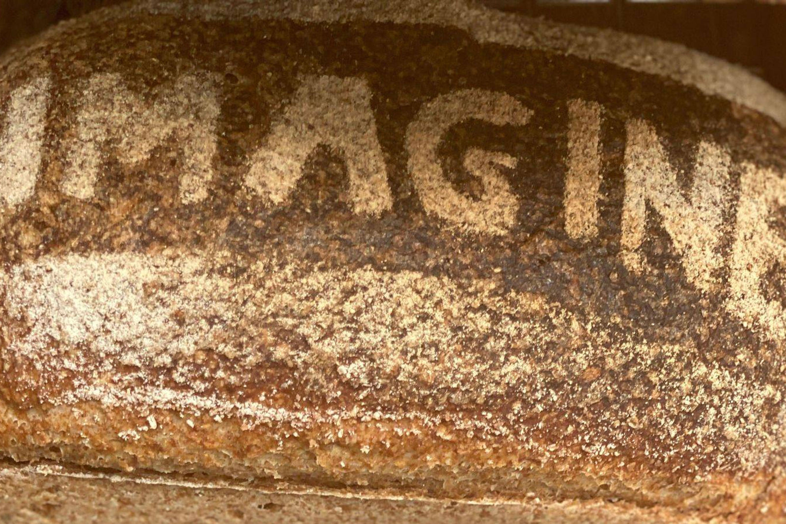 Getting started with sourdough