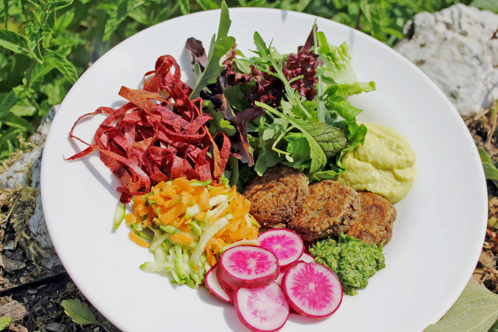 Julie's Apple Shred Buddha Bowl