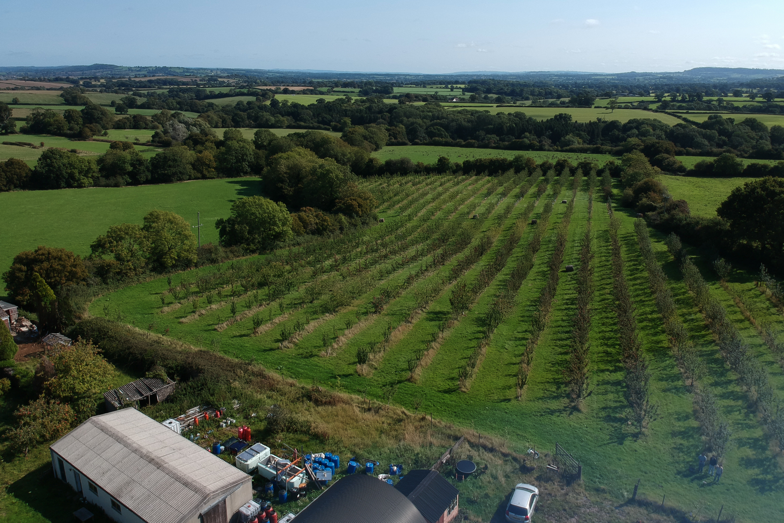 Liberty Fields: Cultivating Taste, Tradition, and Sustainability