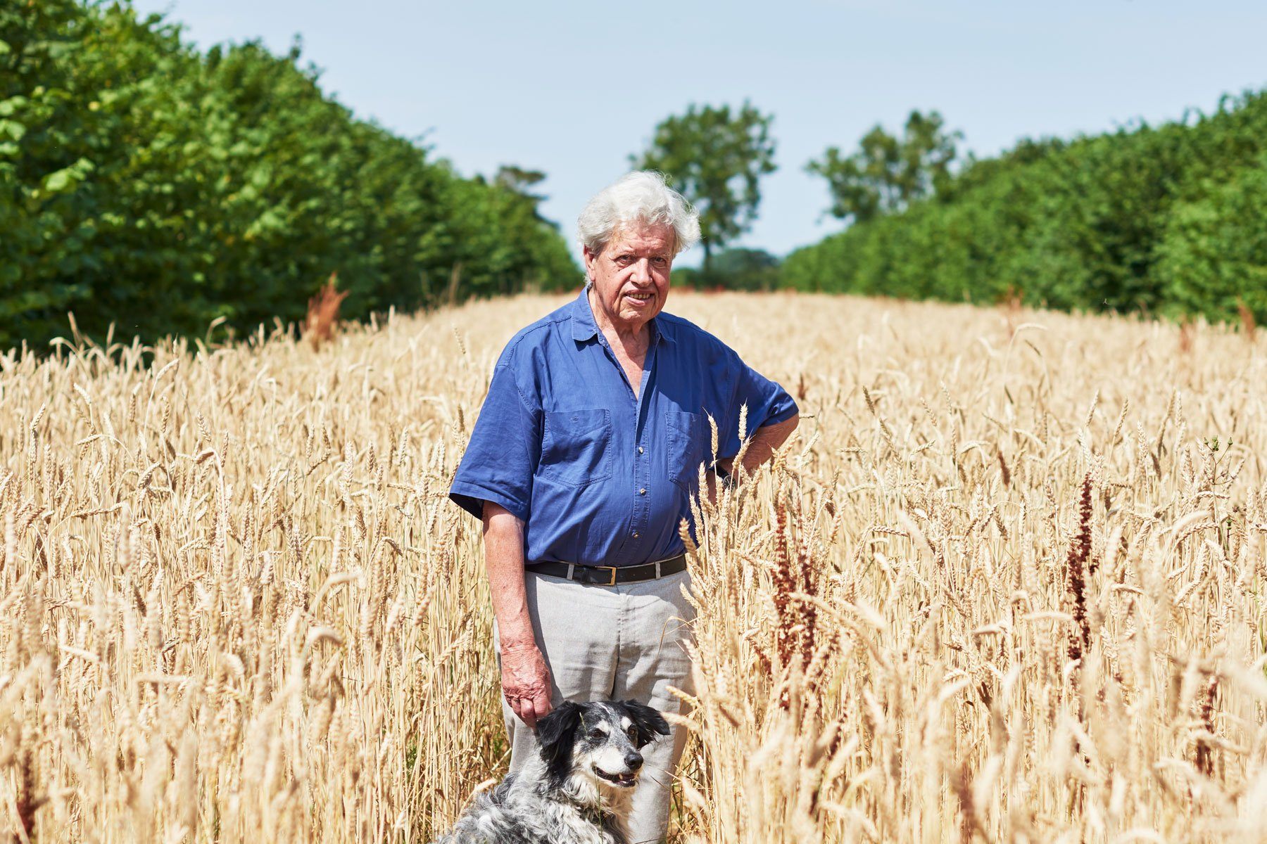 Martin Wolfe, a pioneer of diversity in farming