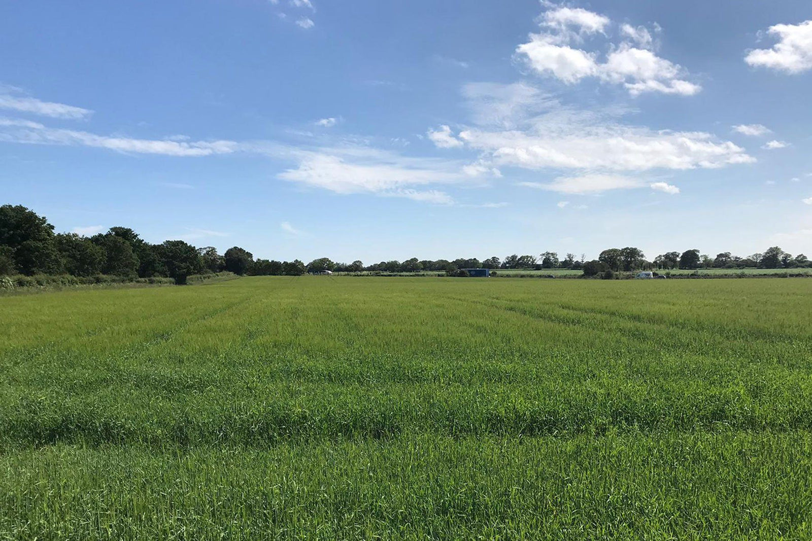 Farm Notes, June 2019