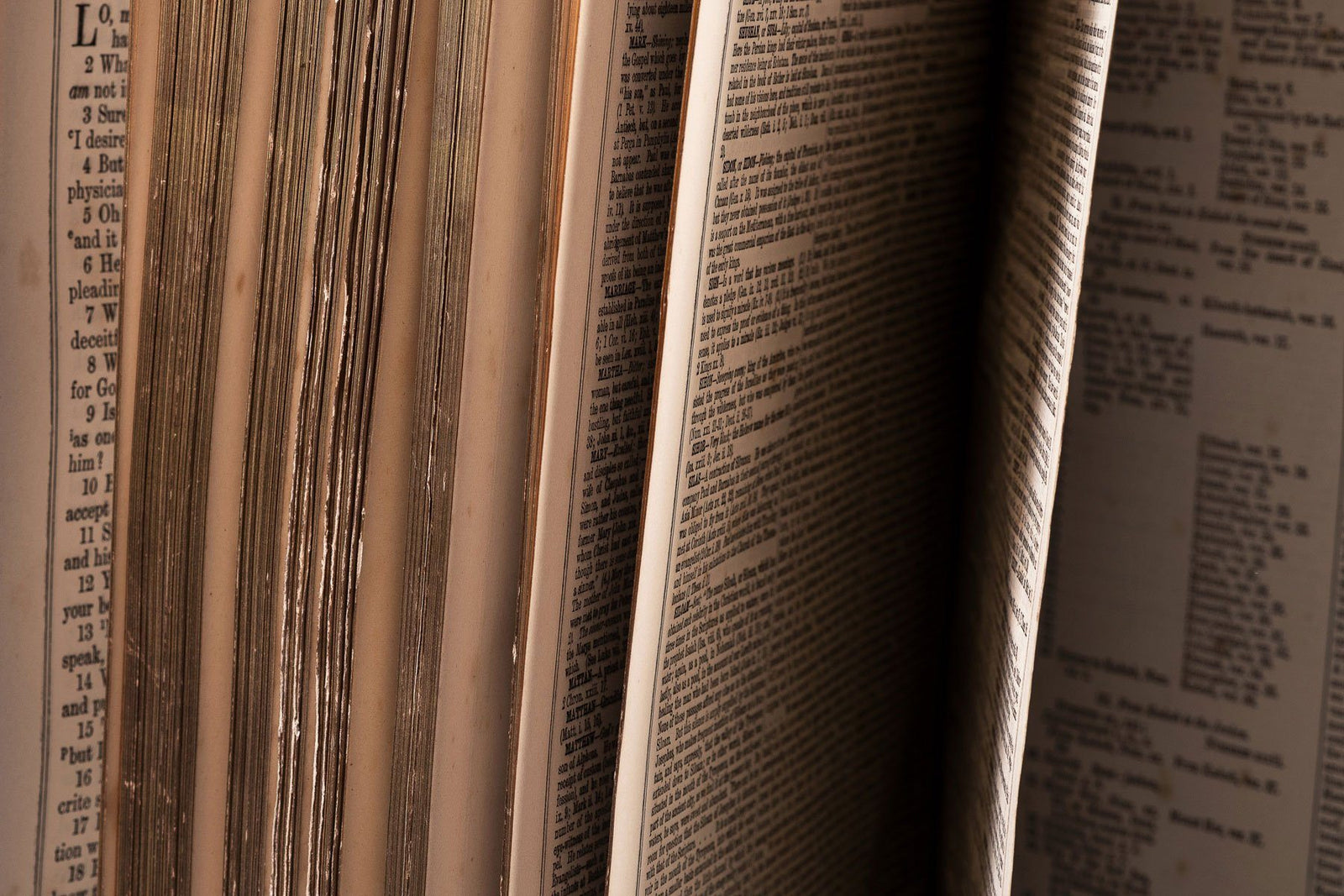 Morsels: Harvest Special, Magic Beans, Pedal Power, Wrinkled Peas, Food Standards