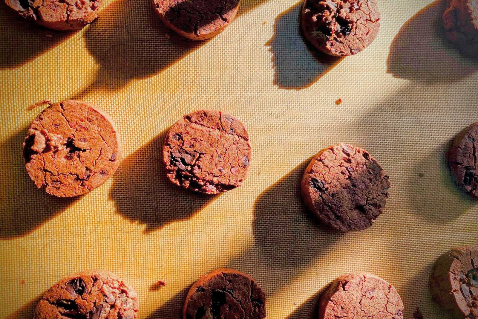 Yellow Pea Triple Chocolate Shortbread