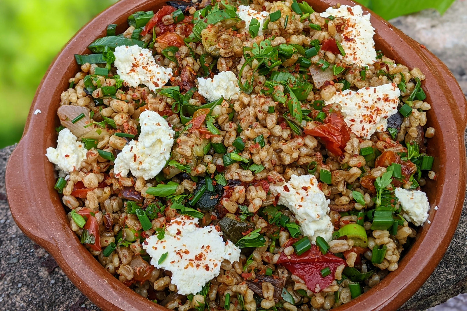 Pearled Spelt with Chargrilled Vegetables & Homemade Ricotta