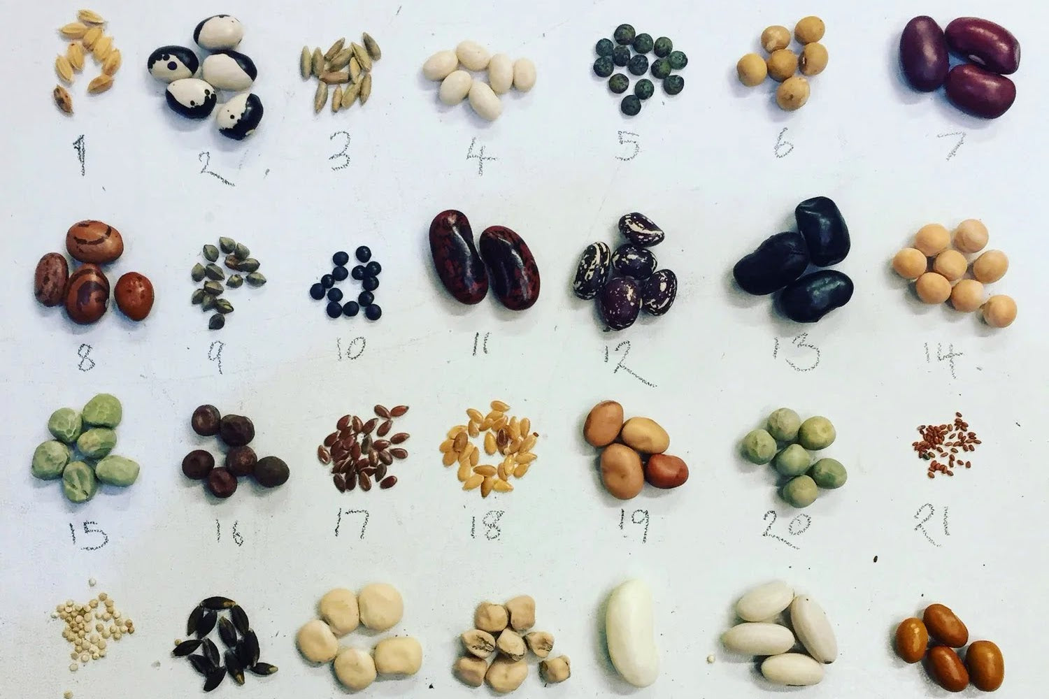 Seed Swap + Pop-up Shop!