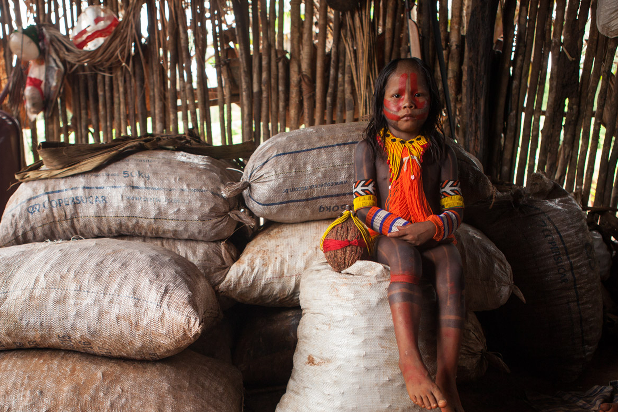 Kayapo child with Brazil nut harvest