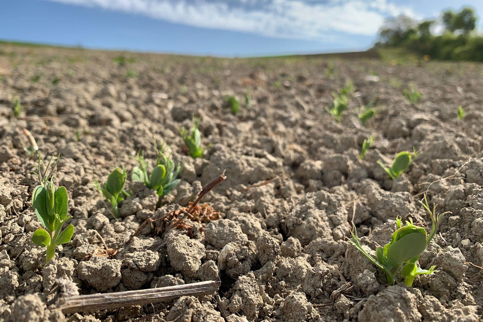 Changing climate, challenging weather