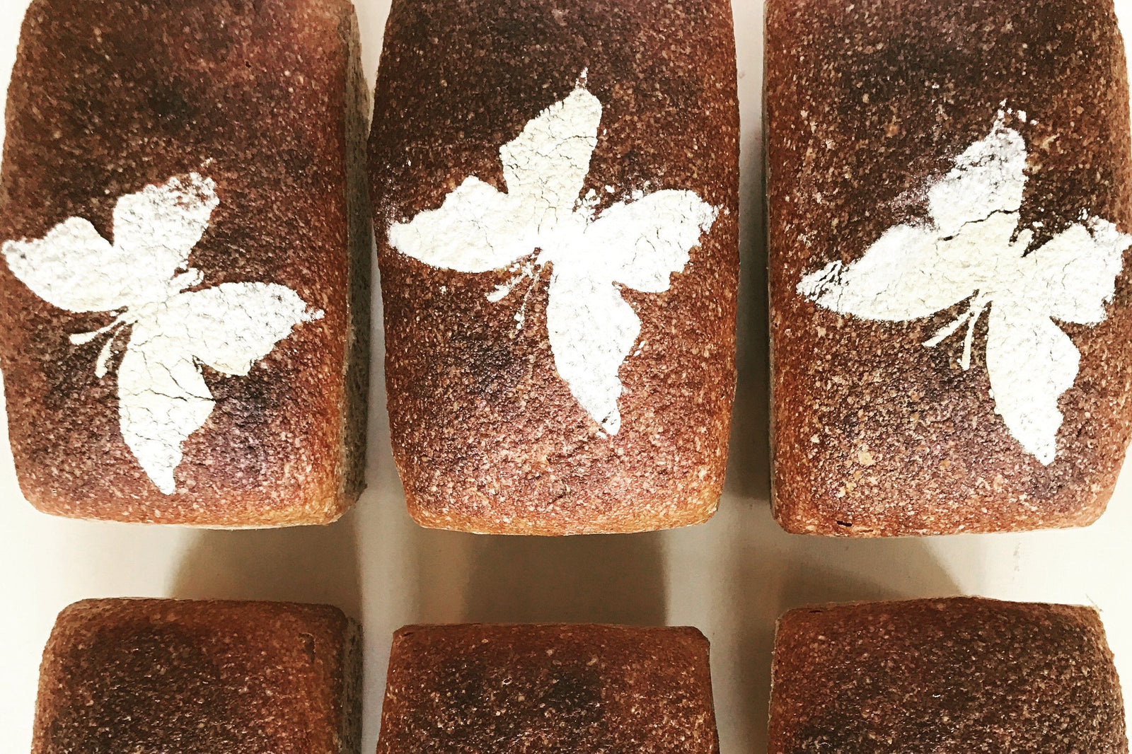 Wholemeal YQ Sourdough Loaf