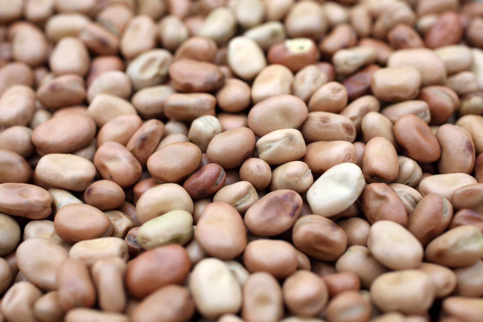 Can We Feed Ourselves?