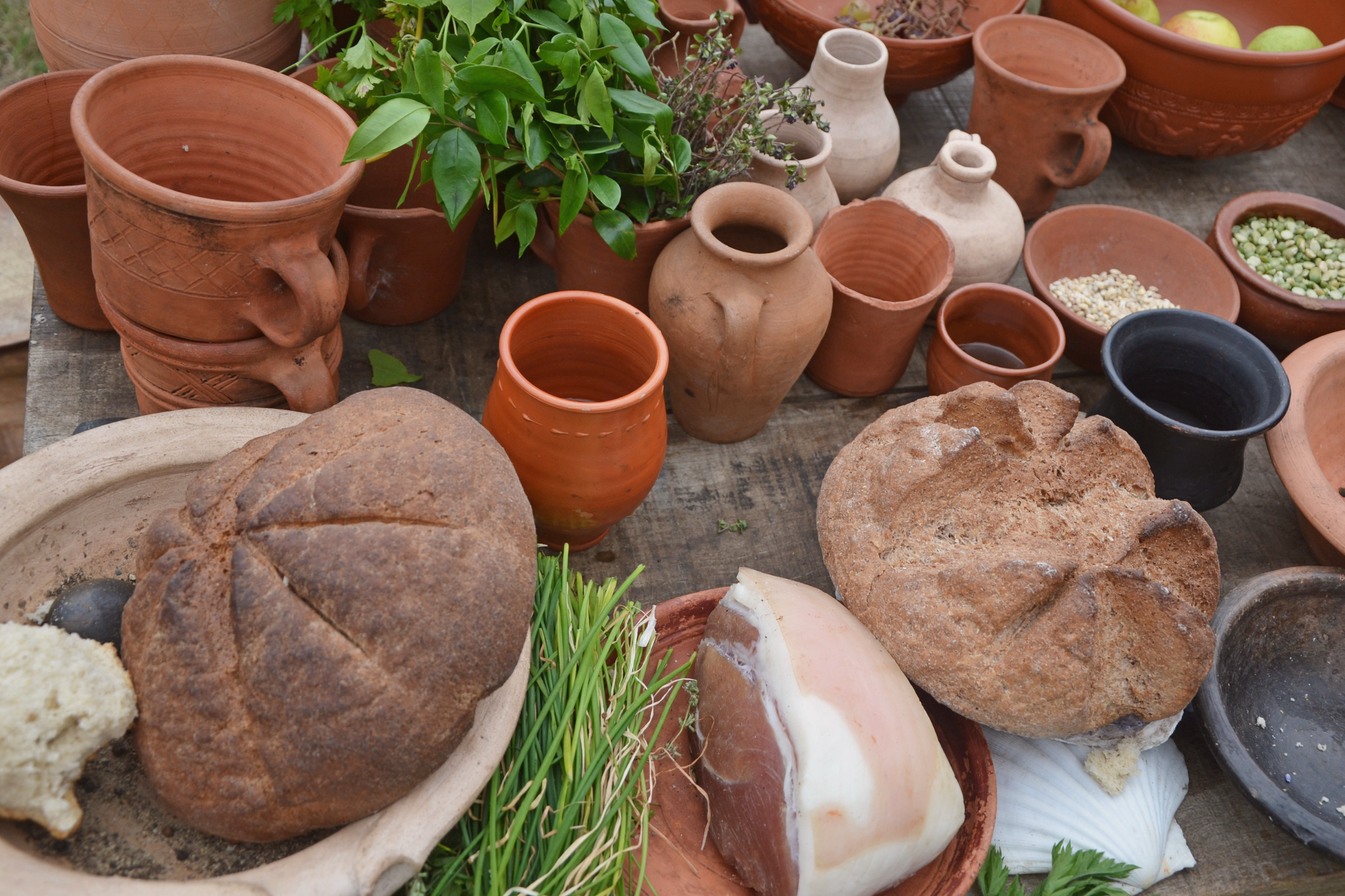 Medieval Bread - an extract from Knead to Know