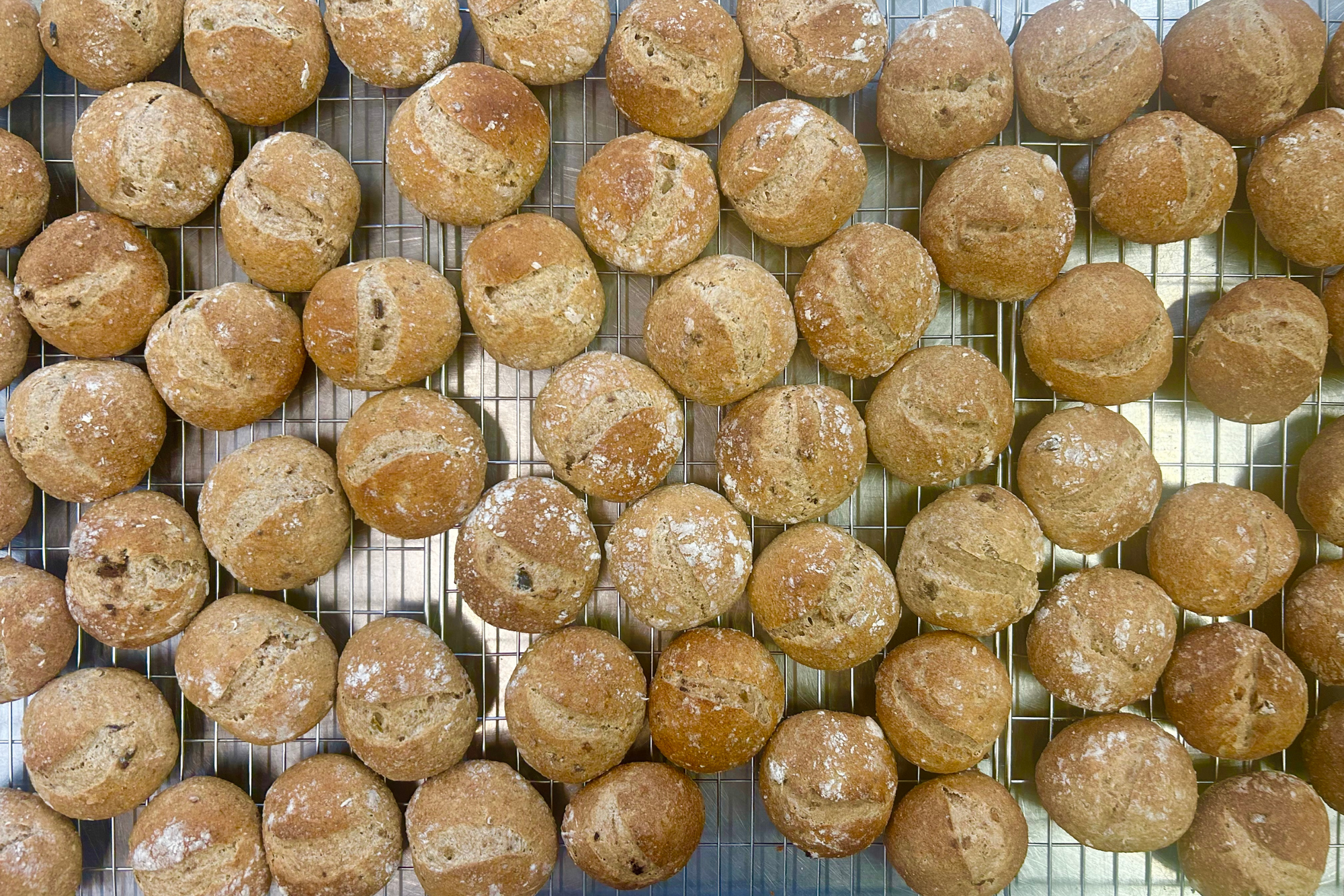 Millet & Emmer Sourdough Rolls to Feed 100