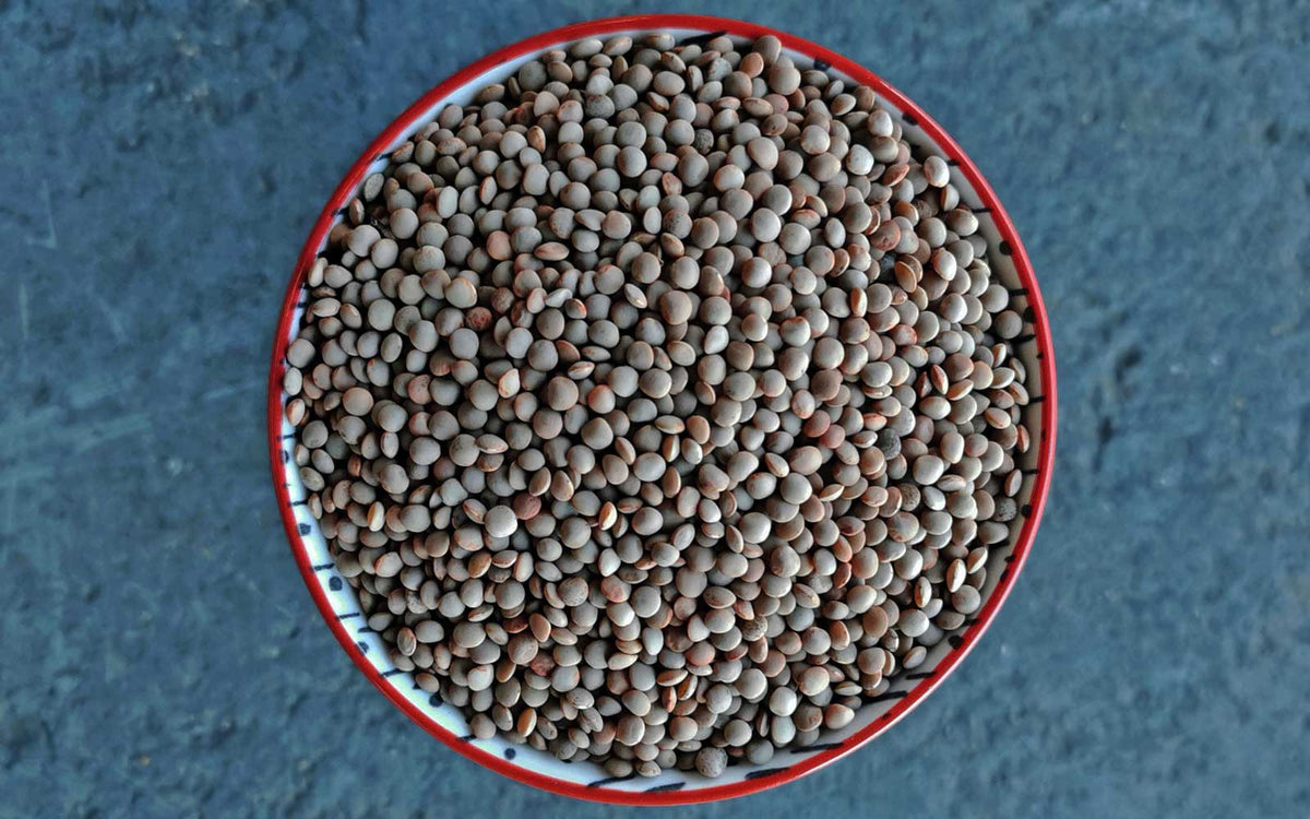 British Lentils - Hodmedod's British Wholefoods
