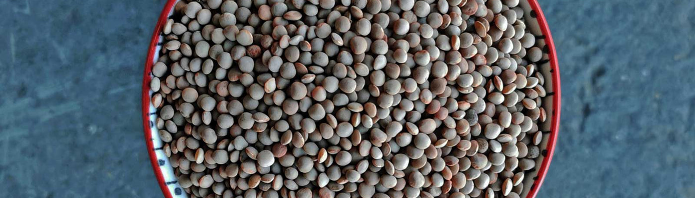 Olive Green Lentils