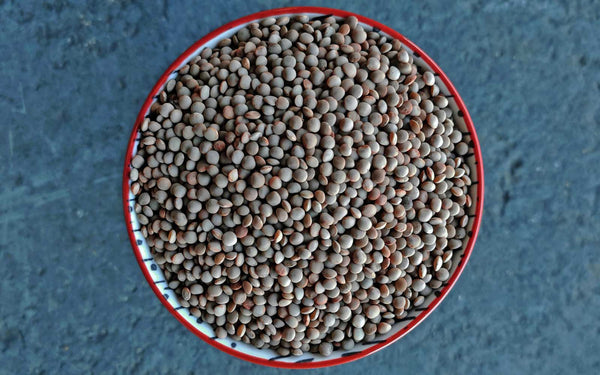 Olive Green Lentils