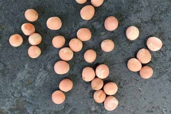 Flamingo Peas