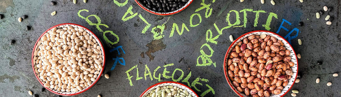 Phaseolus bean varieties