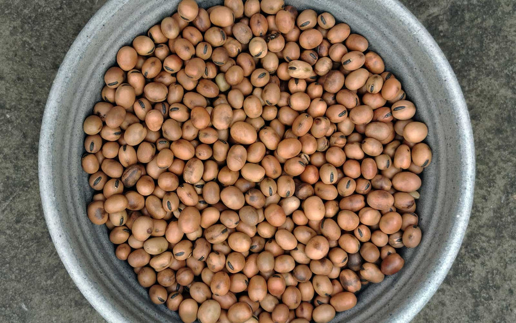 Dried Beans, Split & Whole