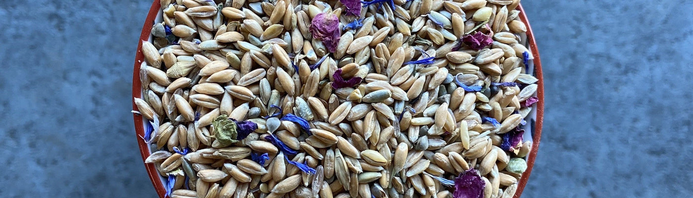 The Sourdough School