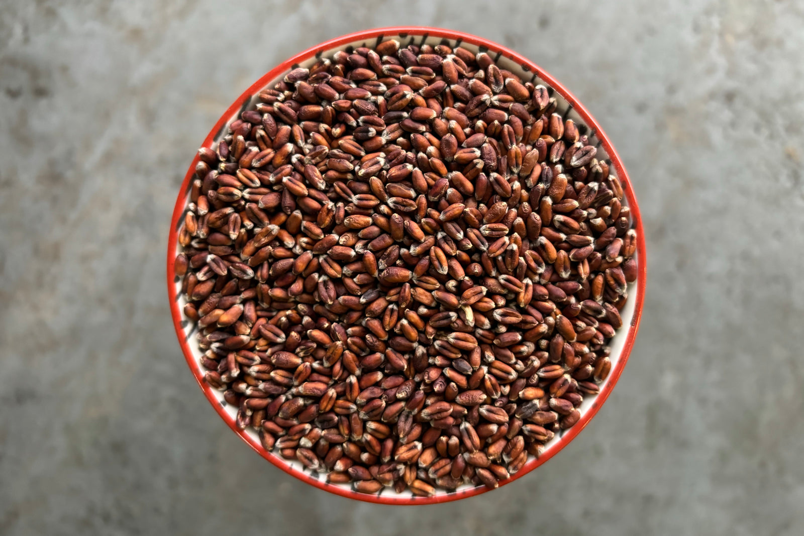 Black Wheat Grain
