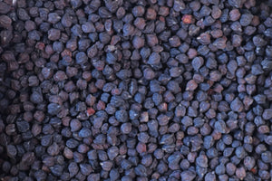 Black Garbanzo Beans from North America