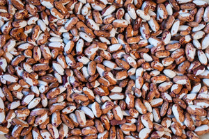 Snowcap Beans from North America