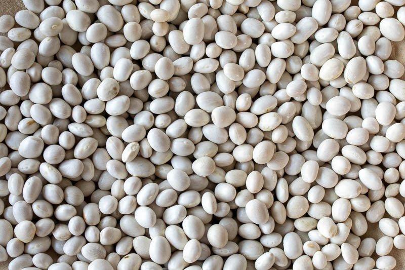 Caballero Beans from North America