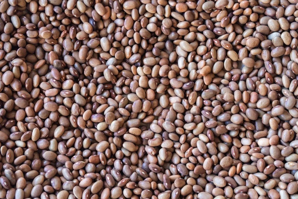 Bayo Chocolate Beans from North America