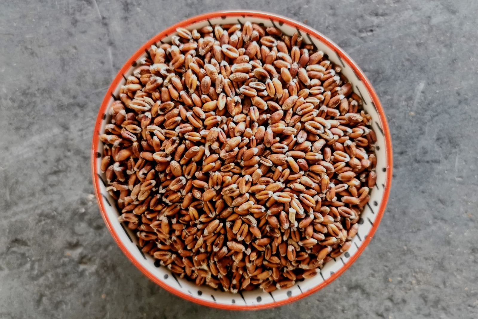 Black Wheat Grain, Organic